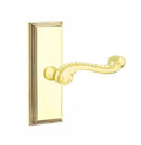 Emtek Rope Lever Concealed Screws with 7” Wilshire Sideplate