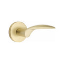 Emtek Mercury Lever with Disk Rosette Concealed Screws