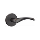 Emtek Triton Lever with Disk Rosette Concealed Screws
