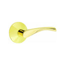 Emtek Triton Lever with Modern Rosette Concealed Screws