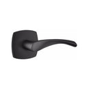Emtek Triton Lever with Urban Modern Rosette Concealed Screws