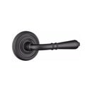 Emtek Turino Lever with Regular Rosette
