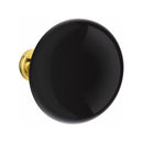 Emtek F20 Function Adelaide Mortise Handleset with Ebony Knob